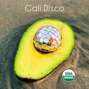 Cali Disco by Groove Dude