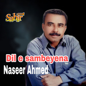 Naseer Ahmed - Tu Yaad Mana Kaha