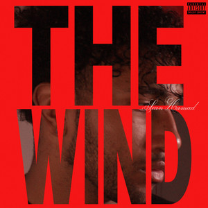 The Wind - sped up by Sean Hamad