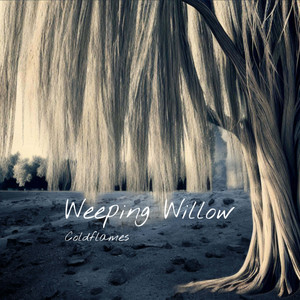 Weeping Willow by Coldflames