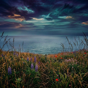 Eternal Meadows by Alexander Vale