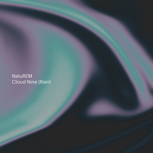 Calming Memory (Rain) by NatuREM Album Cover