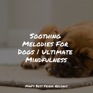 Soothing Melodies For Dogs | Ultimate Mindfulness album