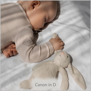 Canon in D by Pianododo Album Cover