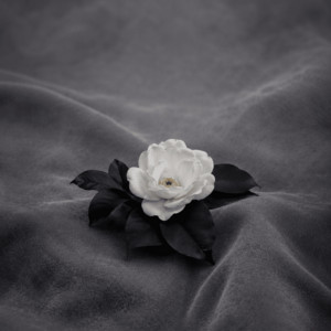 Every Light We Lost by Orlune
