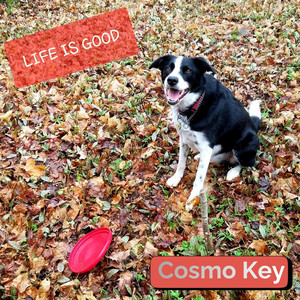 Life Is Good (A Great Big World) by Cosmo Key