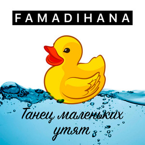 Famadihana poster