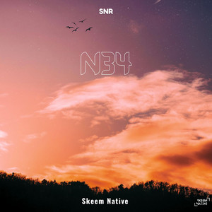 N34 by Skeem Native