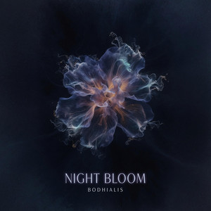 Night Bloom by Bodhialis