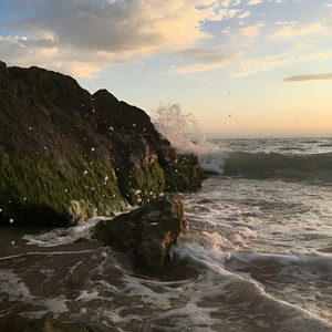 Militant du système