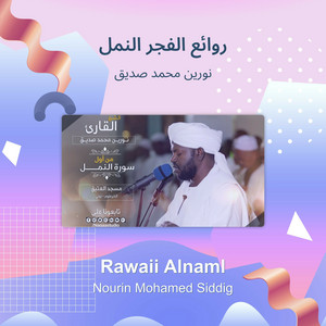 نورين محمد صديق - روائع الفجر النمل