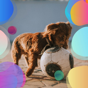 Music for Sleepy Hounds - Fun Chill Out album