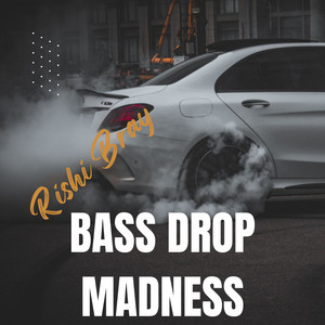 Bass Drop Madness by Rishi Bray