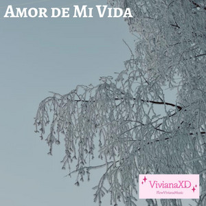 Amor de Mi Vida by VivianaXD