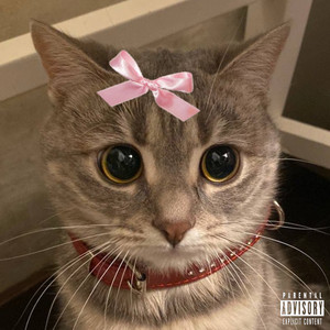 Cover art: котики танцюють