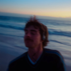 Fickle by Newport Album Cover
