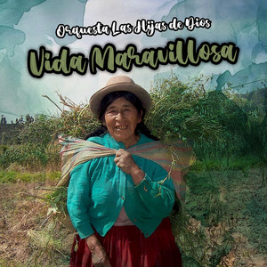Vida Maravillosa by Orquesta Las Hijas de Dios