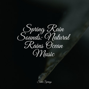 Spring Rain Sounds: Natural Rains Ocean Music album