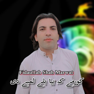 Fidaullah Shah Marwat - Kormy k Beya Baly Lamby Di
