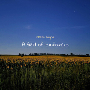 A field of sunflowers