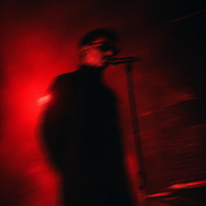 The Screams (Darkwave) by Ninth Order, Bullet Loko