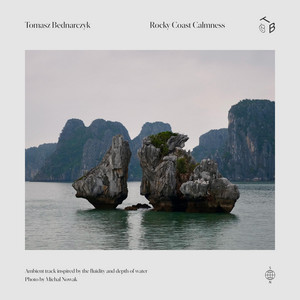 Rocky Coast Calmness by Tomasz Bednarczyk
