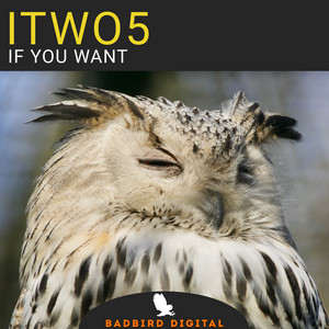 Обкладинка: If You Want - Kip5 Remix