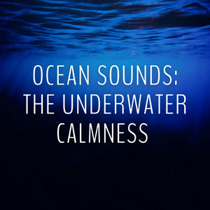 Ocean Sounds: The Underwater Calmness album