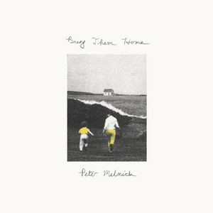 Bring Them Home by Peter Melnick, Michael HarPaz