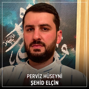 Perviz Hüseyni - Şehid Elçin