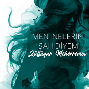 Zülfükar Meherremov - Men Nelerin Şahidiyem