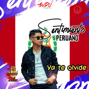 YA TE OLVIDE by Jander 