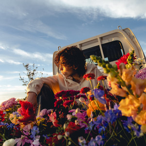 YRD Leo - love letter