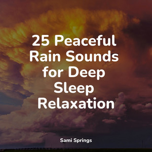 25 Peaceful Rain Sounds for Deep Sleep Relaxation album