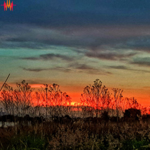 MIKE SANTRU - Don Miguel