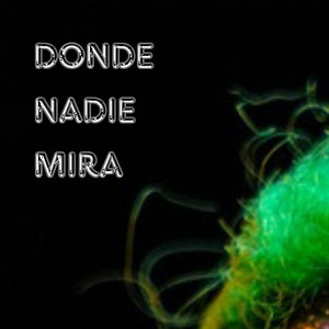 Donde nadie mira by CHARPI MC