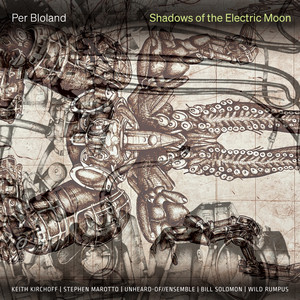 Per Bloland: Shadows of the Electric Moon — Per Bloland
