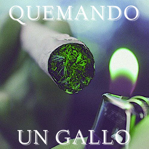Quemando Un Gallo - Compilation by Various Artists | Spotify