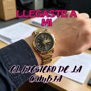 LLEGASTE A MI by EL FIESTERO DE LA CUMBIA
