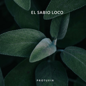 El Sabio Loco by Protuxin
