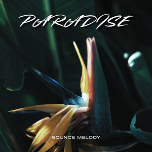Paradise by Bounce Melody
