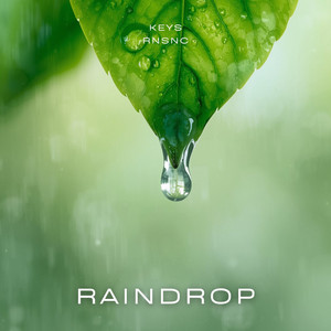 Raindrop by Keys RNSNC