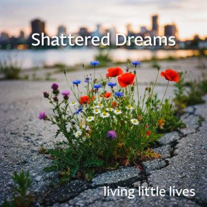 Shattered Dreams by living little lives