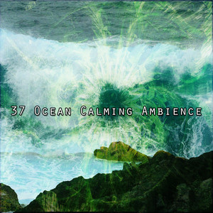 37 Ocean Calming Ambience album