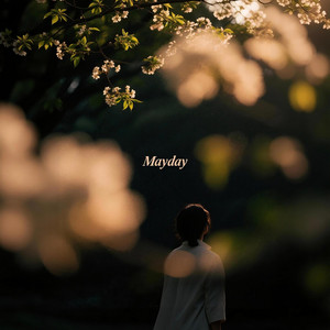 Stay Till Morning by After Mayday