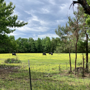 Carson Brown - When You Say Nothing At All