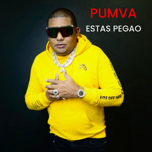 Estas Pegao by Pumva