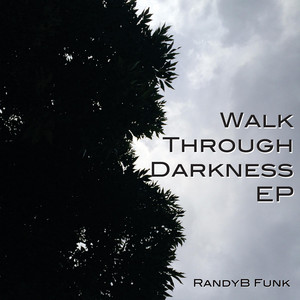 Life Gets at You by RandyB Funk, R-Swift