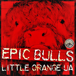 Epic Bulls