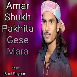 Baul Rayhan - Ami Puira Puira Hoilam Shara